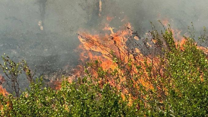 На Ямале спасатели ликвидируют три лесных пожара