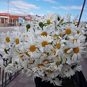 Аваланж