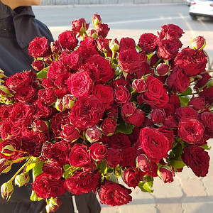 Аваланж