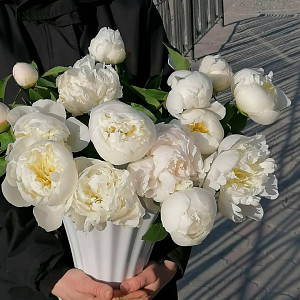 Аваланж